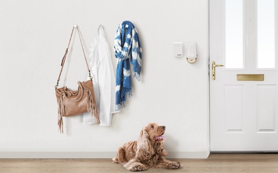 Se ve en una pared colgado un beso y una chaqueta, a la derecha una puerta cerrada, a la derecha de la puerta el dispositivo puesto a lado del timbre y debajo un perro acostado de color marrn.