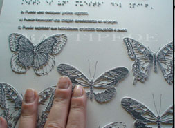 Papel con mariposas pintadas y en relieve